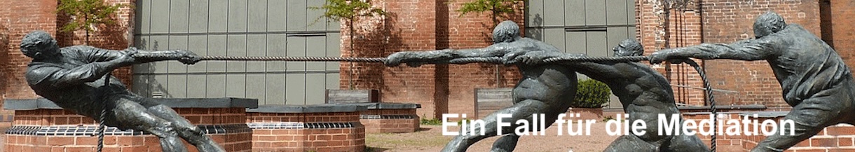 Mediationsfaelle